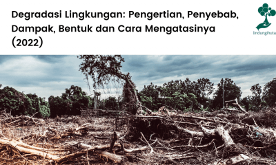 Degradasi Lingkungan Pengertian, Penyebab, Dampak, Bentuk dan Cara Mengatasinya.