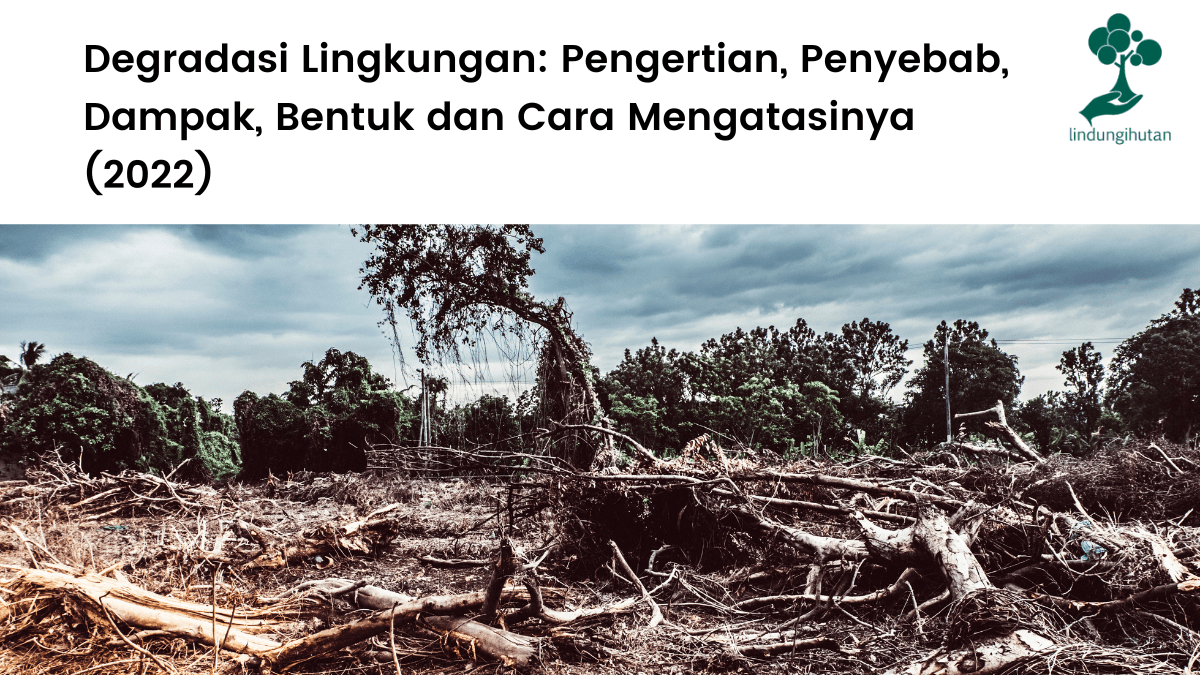 Degradasi Lingkungan Pengertian, Penyebab, Dampak, Bentuk dan Cara Mengatasinya.