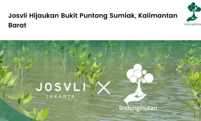 Josvli dan LindungiHutan berkolaborasi untuk menjalankan program penghijauan di kab. Landak, Kalimantan Barat.