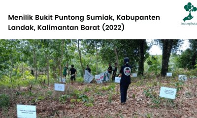 Menilik Bukit Puntong Sumiak, Kabupanten Landak, Kalimantan Barat (2022)