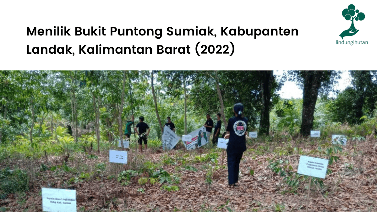Menilik Bukit Puntong Sumiak, Kabupanten Landak, Kalimantan Barat (2022)