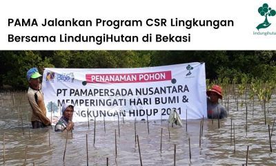 PT Pamapersada Nusantara (PAMA) menggandeng LindungiHutan untuk implementasi program CSR lingkungan di jadetabek.