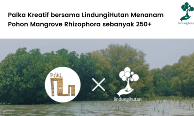 Palka Kreatif dan LindungiHutan berkolaborasi untuk menanam ratusan mangrove di Semarang.