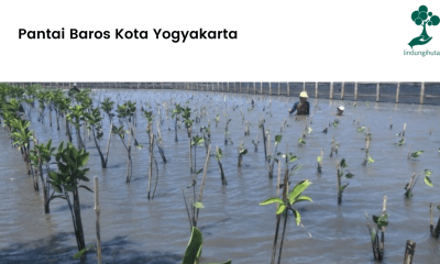 Pantai Baros Kota Yogyakarta.