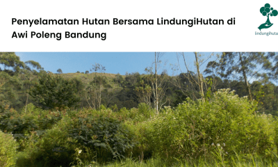 Penyelamatan Hutan Bersama LindungiHutan di Awi Poleng Bandung