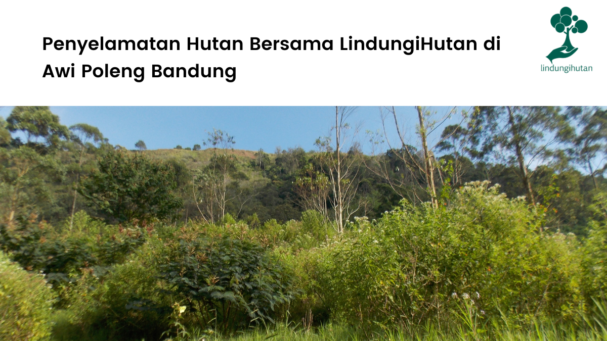 Penyelamatan Hutan Bersama LindungiHutan di Awi Poleng Bandung