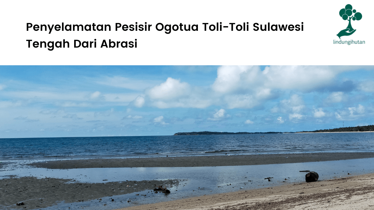 Penyelamatan Pesisir Ogotua Toli-Toli Sulawesi Tengah