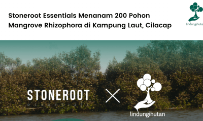 Stoneroot Essentials dan LindungiHutan menanam 200 mangrove di Kampung Laut, Cilacap, Jawa Tengah.