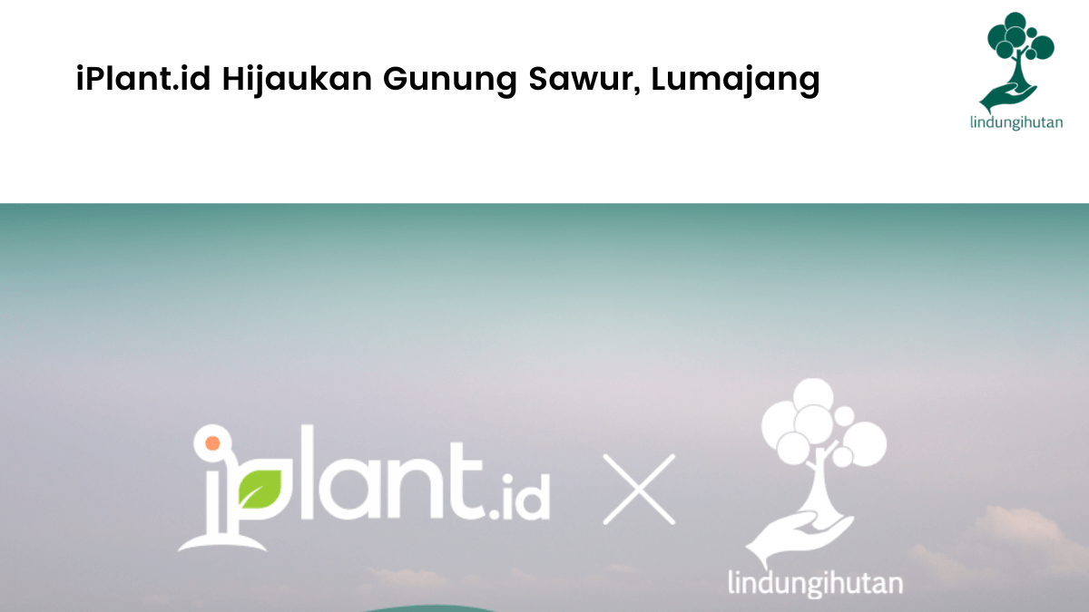 iPlant.id Hijaukan Gunung Sawur, Lumajang.