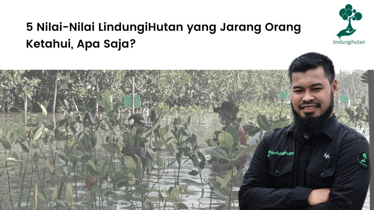 5 Nilai-Nilai LindungiHutan yang Jarang Orang Ketahui, Apa Saja_.