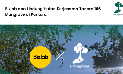 Bizlab dan LindungiHutan Kerjasama Tanam 166 Mangrove di Pantura..