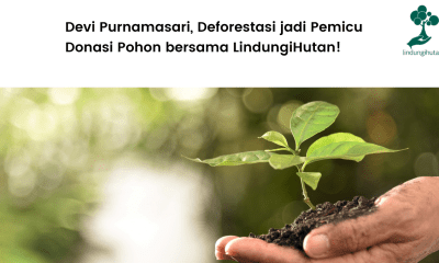 Sosok DeviPurnamasari dan kebiasaan donasi pohon-nya.