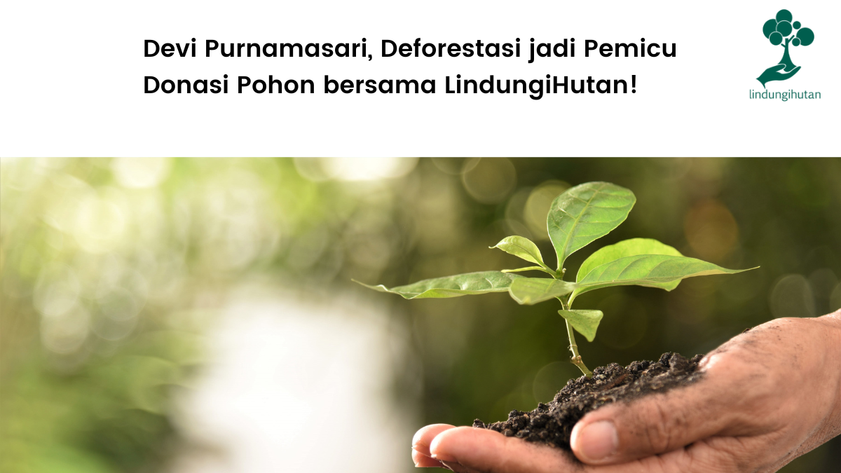 Sosok DeviPurnamasari dan kebiasaan donasi pohon-nya.