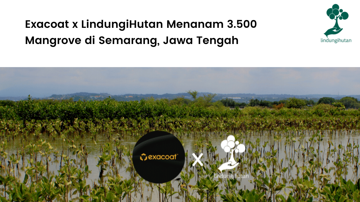 Exacoat x LindungiHutan Menanam 3.500 Mangrove di Semarang, Jawa Tengah.