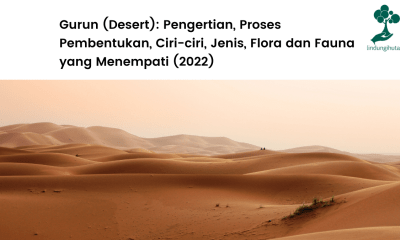 Pengertian gurun, jenis, ciri-ciri, hingga proses pembentukannya.