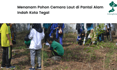 Menilik lokasi penanaman di Pantai Alam Indah Kota Tegal.