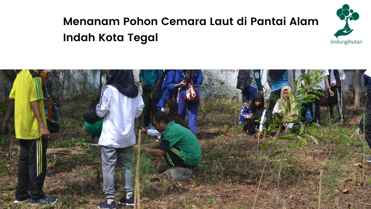 Menilik lokasi penanaman di Pantai Alam Indah Kota Tegal.