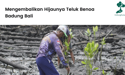 teluk benoa bali