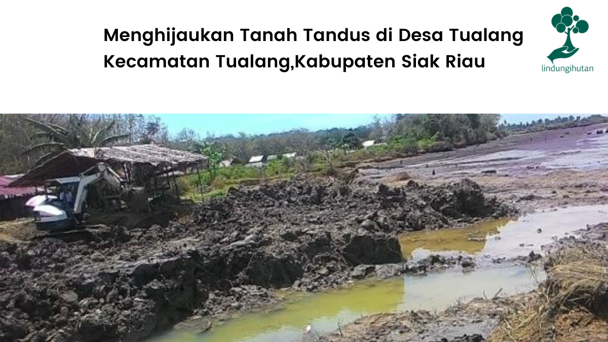 Mengenal lokasi penanaman pohon lindungIhutan di Tualang, Kabupaten Siak.