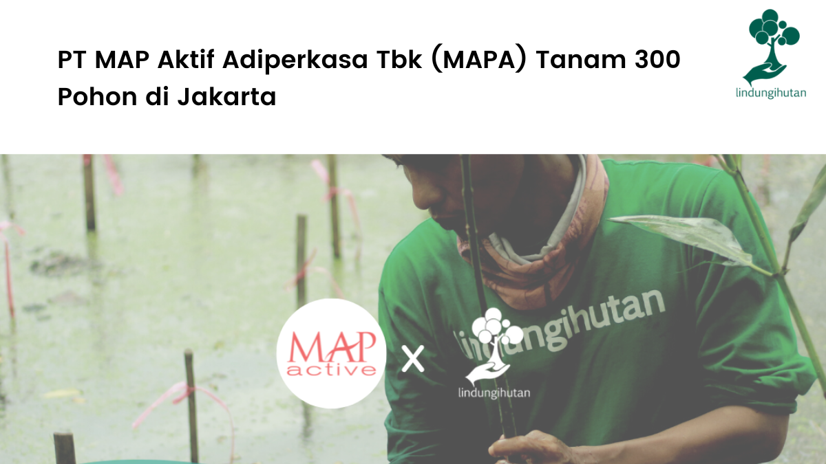 PT MAP Aktif Adiperkasa Tbk (MAPA) menanam 353 pohon di Jakarta bersama LindungiHutan.