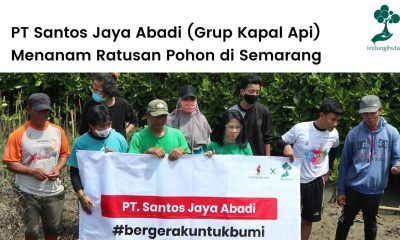 PT Santos Jaya Abadi (Kapal Api Group) berkolaborasi dengan LindungiHutan untuk program penghijauan.