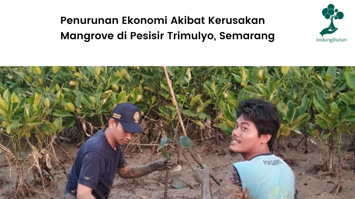 Pantai Trimulyo Genuk, Kota Semarang.