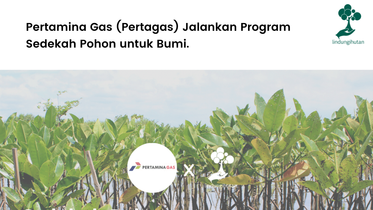 Pertamina Gas (Pertagas) Jalankan Program Sedekah Pohon untuk Bumi.