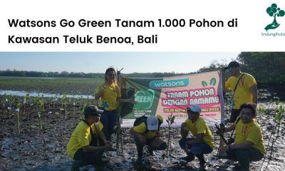 Program CSR Watsons