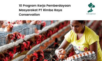 10 Program Kerja Pemberdayaan Masyarakat PT Rimba Raya Conservation.