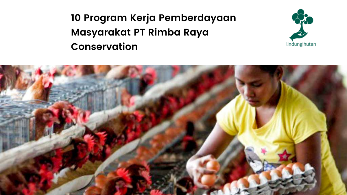 10 Program Kerja Pemberdayaan Masyarakat PT Rimba Raya Conservation.