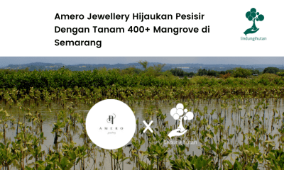 Amero Jewellery hijaukan pesisir Tambakrejo, Semarang.