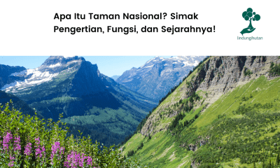 Apa sih taman nasional itu?