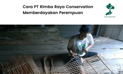 Ada banyak cara Rimba Raya memberdayakan perempuan di wilayah binaannya.