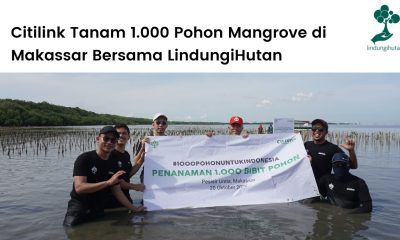 Citilink menanam ribuan mangrove di Makassar.
