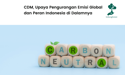 Mengenal apa itu clean development mechanism.