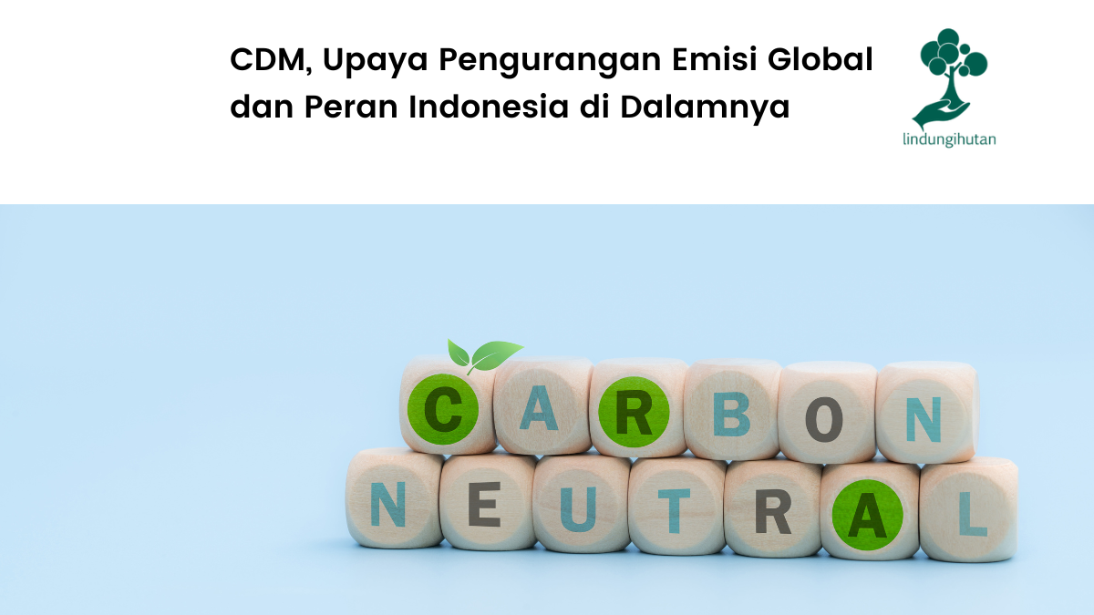 Mengenal apa itu clean development mechanism.