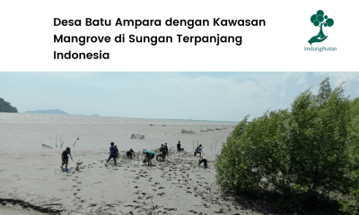 Melihat lokasi penanaman LindungiHutan di Desa Batu Ampar.