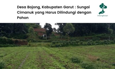 Desa Bojong, Kabupaten Garut _ Sungai Cimanuk yang Harus Dilindungi dengan Pohon.
