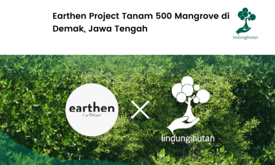 Earthern Project menanam mangrove di Demak.
