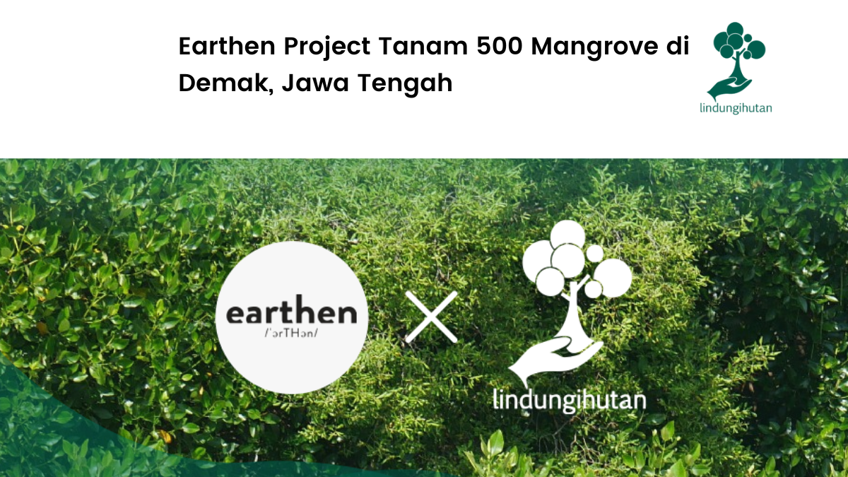 Earthern Project menanam mangrove di Demak.