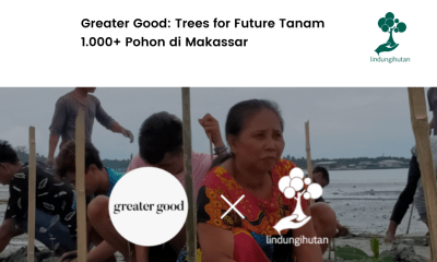 Greater Good tanam mangrove di Makassar.