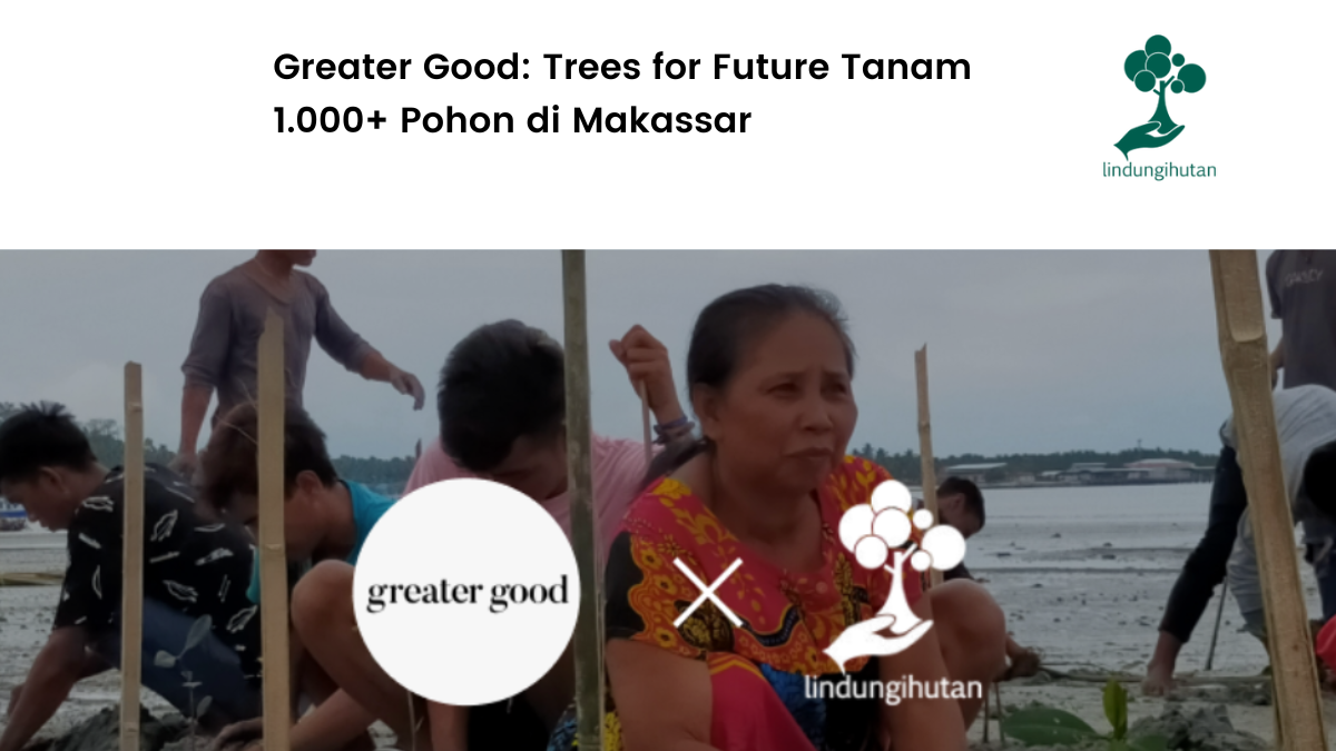 Greater Good tanam mangrove di Makassar.