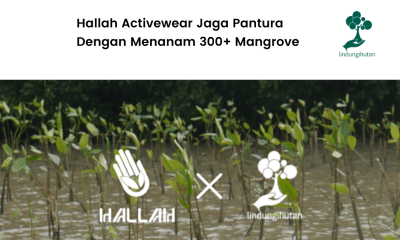 Hallah Activewear jaga pantura dengan menanam mangrove.