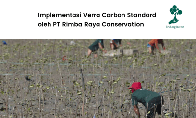 Mengenal verra dan perjalanannya bersama Rimba Raya Conservation.