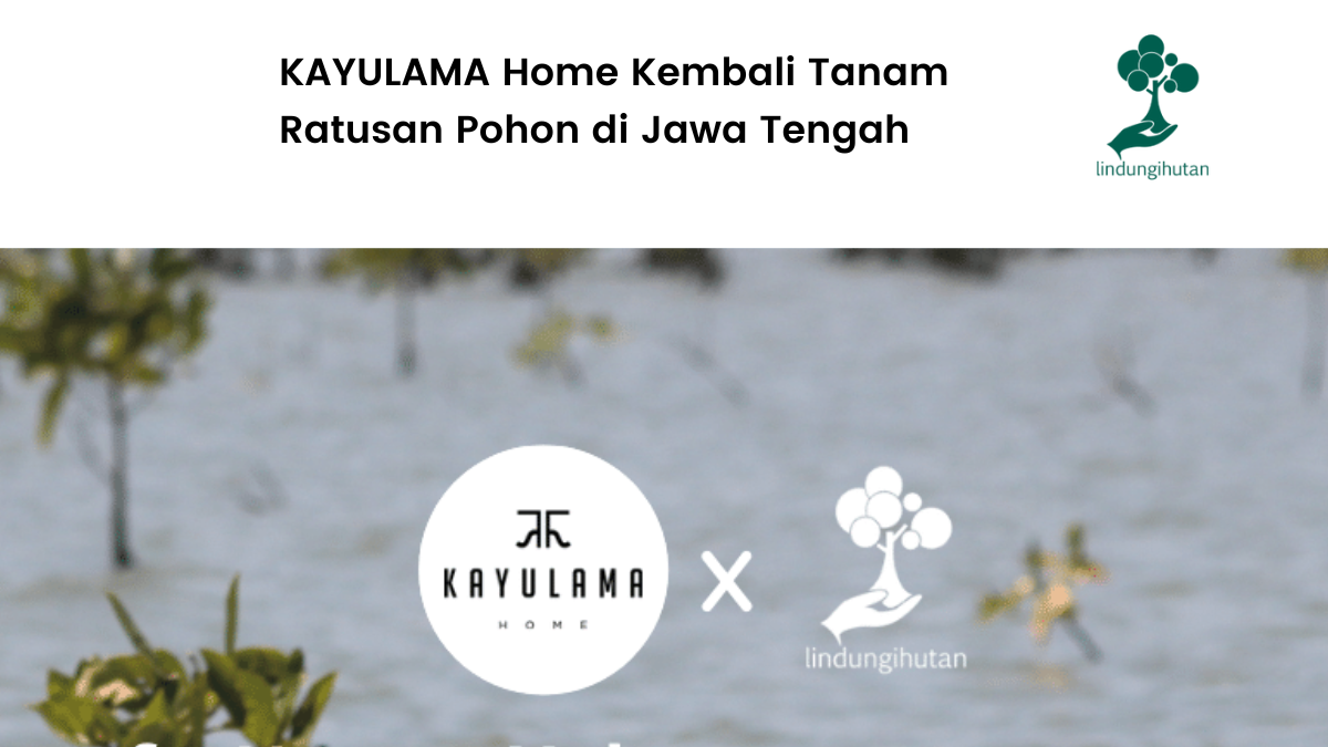 Kayulama Home Hijaukan Pantai Kartika Jaya Kendal.