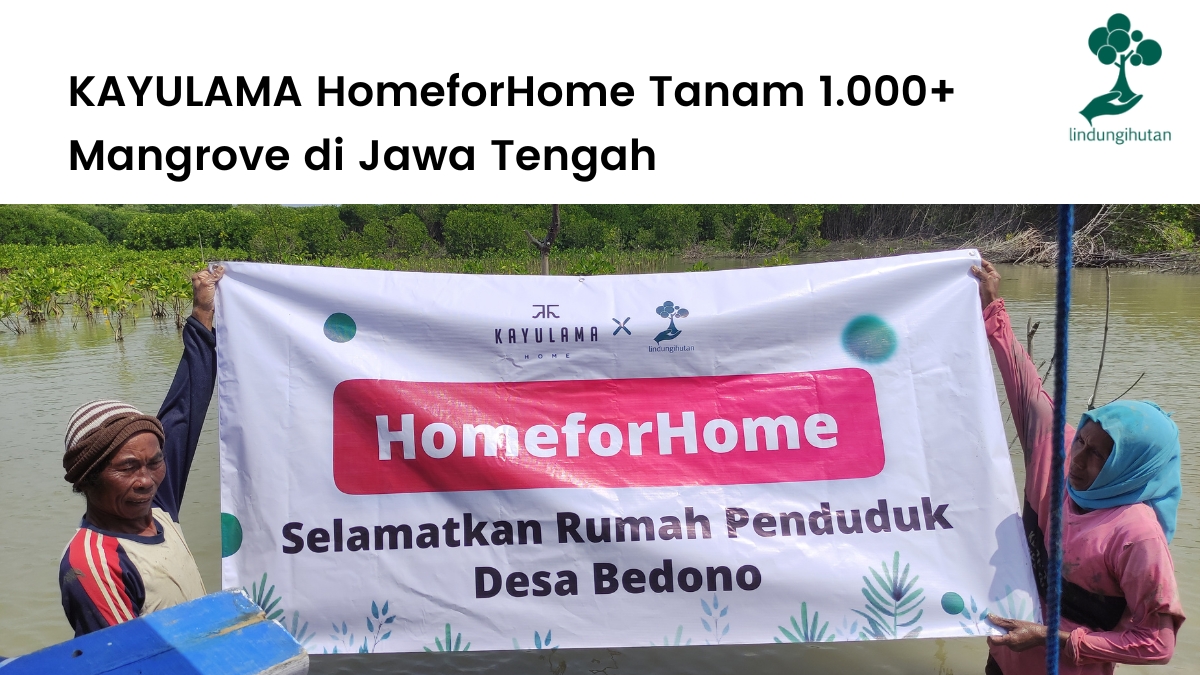 KAYULAMA Home menginisiasi program penghijauan di Demak, Jawa Tengah.