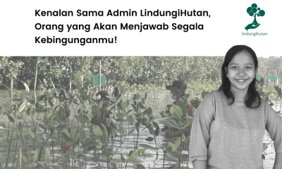 Cerita Hanum Tiastanti Admin LindungiHutan.