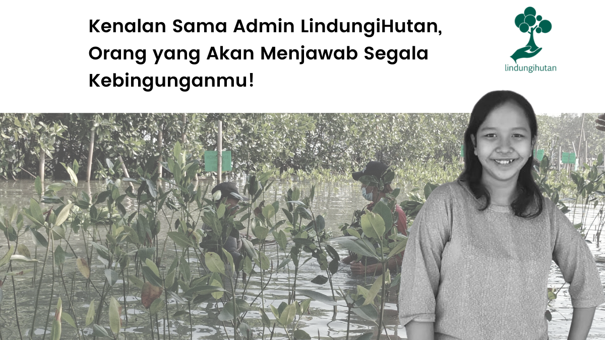 Cerita Hanum Tiastanti Admin LindungiHutan.