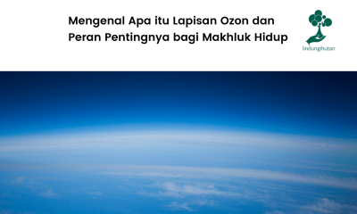 Pengertian lapisan ozon dan penjelasan lengkapnya.