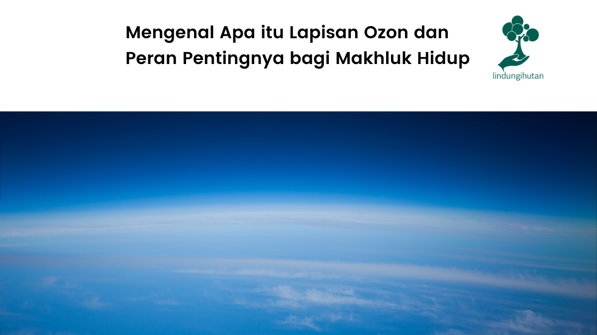 Pengertian lapisan ozon dan penjelasan lengkapnya.